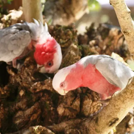 Гостевой дом De Retour Aux Sources Connectees 1 Et 2